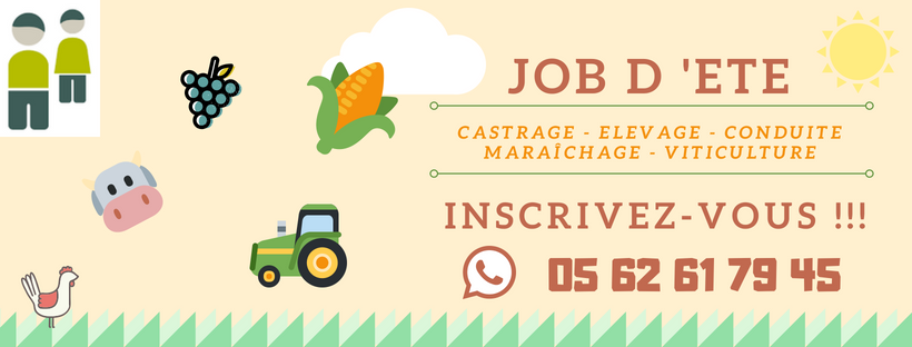 JOB D 'ETE